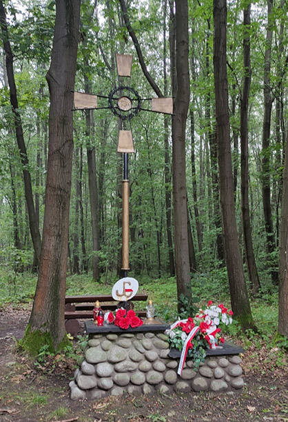 Projekt Szkoła Patriotów