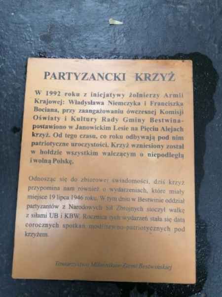 krzyż partyzancki w janowickim lesie