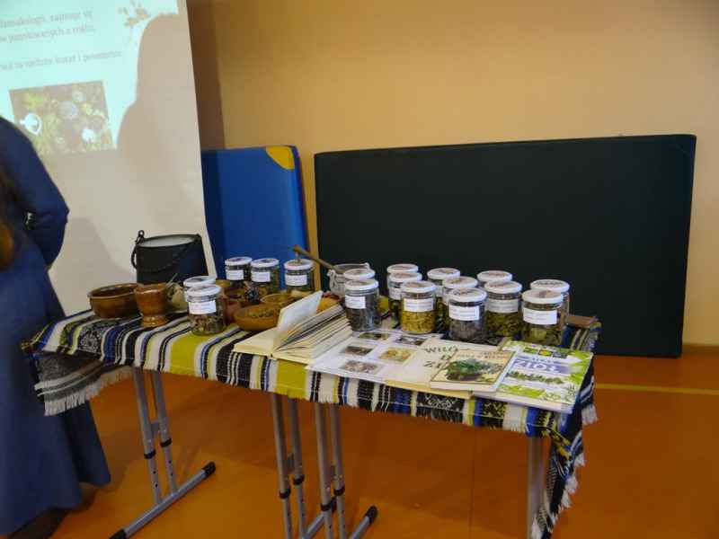 warsztaty zielarskie