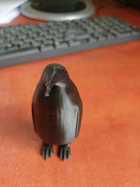 wydrukowany pingwin